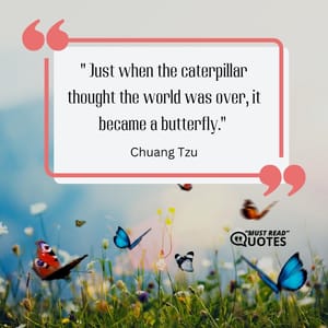 Just when the caterpillar thought the world was over, it became a butterfly.