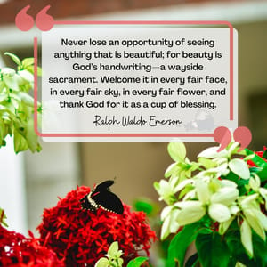 Never lose an opportunity of seeing anything that is beautiful; for beauty is God’s handwriting—a wayside sacrament. Welcome it in every fair face, in every fair sky, in every fair flower, and thank God for it as a cup of blessing.