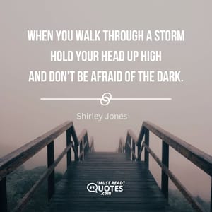 When you walk through a storm Hold your head up high And don't be afraid of the dark.