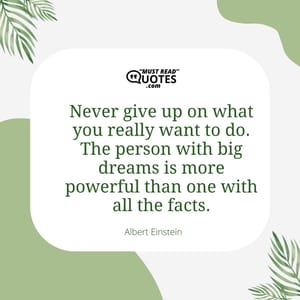 Never give up on what you really want to do. The person with big dreams is more powerful than one with all the facts.