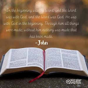 In the beginning was the Word, and the Word was with God, and the Word was God. He was with God in the beginning. Through him all things were made; without him nothing was made that has been made.